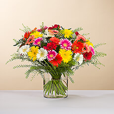 Gerbera Mélange Bouquet Medium