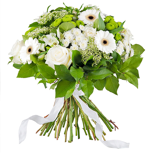Simplement Blanc - Prestige (45 cm)