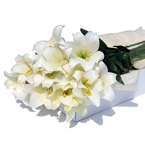 Flower Box White Lilies 12 pcs