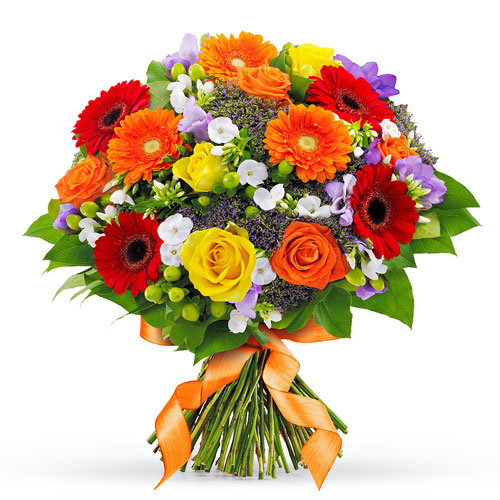 Shower of Colors - Medium (30 cm)