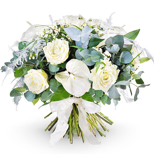 Elegance White - Prestige (45 cm)
