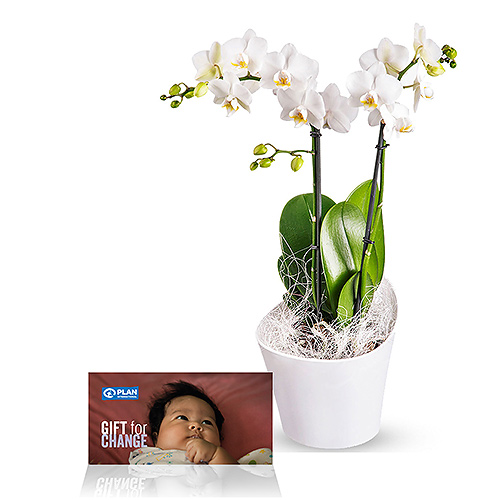 Orchids for Change