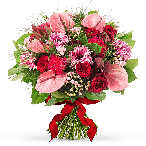 Pink Sweetheart - Medium (30 cm)