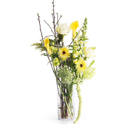 Bouquet Jaune Branché dans une Vase