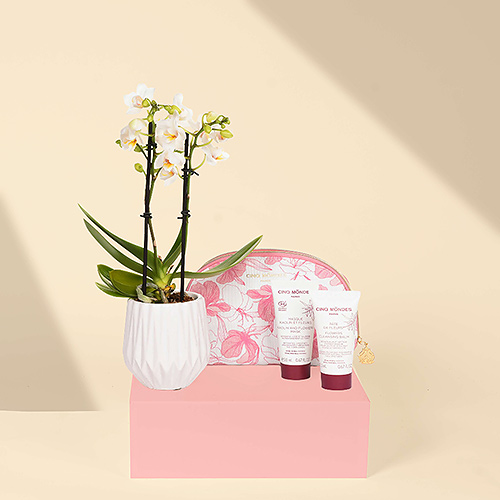 Gift 2021 : Cinq Mondes Straling uit Bali & Mini Orchidee