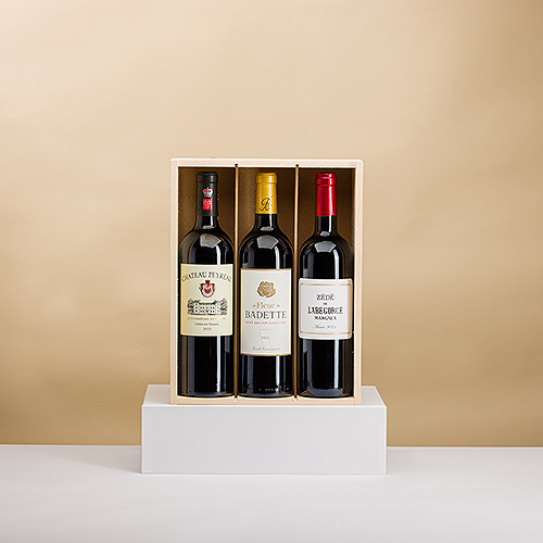 Tasting of 3 Red Wines