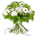 Simplement Blanc - Prestige (45 cm) [01]