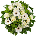 Simplement Blanc - Prestige (45 cm) [02]