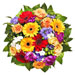 Shower of Colors - Medium (30 cm) [02]