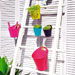 Orchids for Change [04]