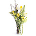 Bouquet Jaune Branché dans une Vase [01]