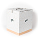 Bouquet de Roses Blanches Medium [03]