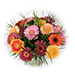 Gerbera Mélange Bouquet Medium [02]