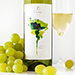 Oxfam Lautaro White & Red Wine Duo [02]