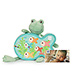 Gifts 2020 : Peluche Frog & Classic Fishing Game [01]
