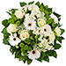 Simply White Bouquet & Champagne Dom Perignon Vintage 2012 [03]