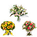 Seasonal Bouquet & Fair Trade Ecologica Torrontés Sparkling Brut [04]