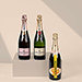 Moët & Chandon Champagne Tasting [01]