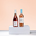 Summer Rosé Wine Tasting Duo [01]