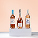 Summer Rosé Wine Tasting Experience [01]