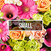 Flowers biweekly delivery small [01]